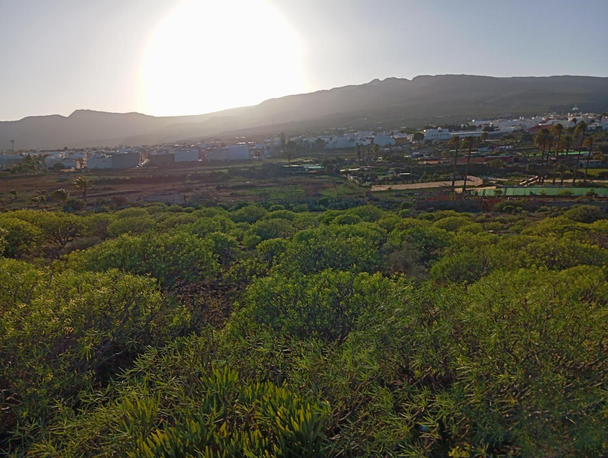 Casa Grande Finca El Calabres Agüimes Esterno foto